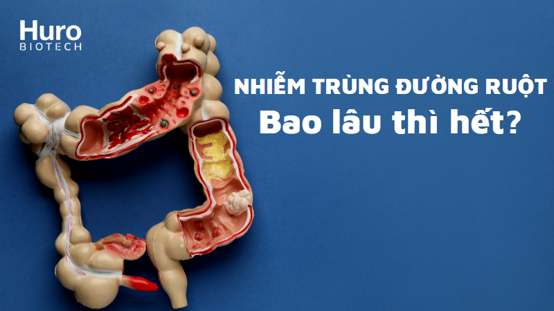 Nhiễm trùng đường ruột bao lâu thì hết?