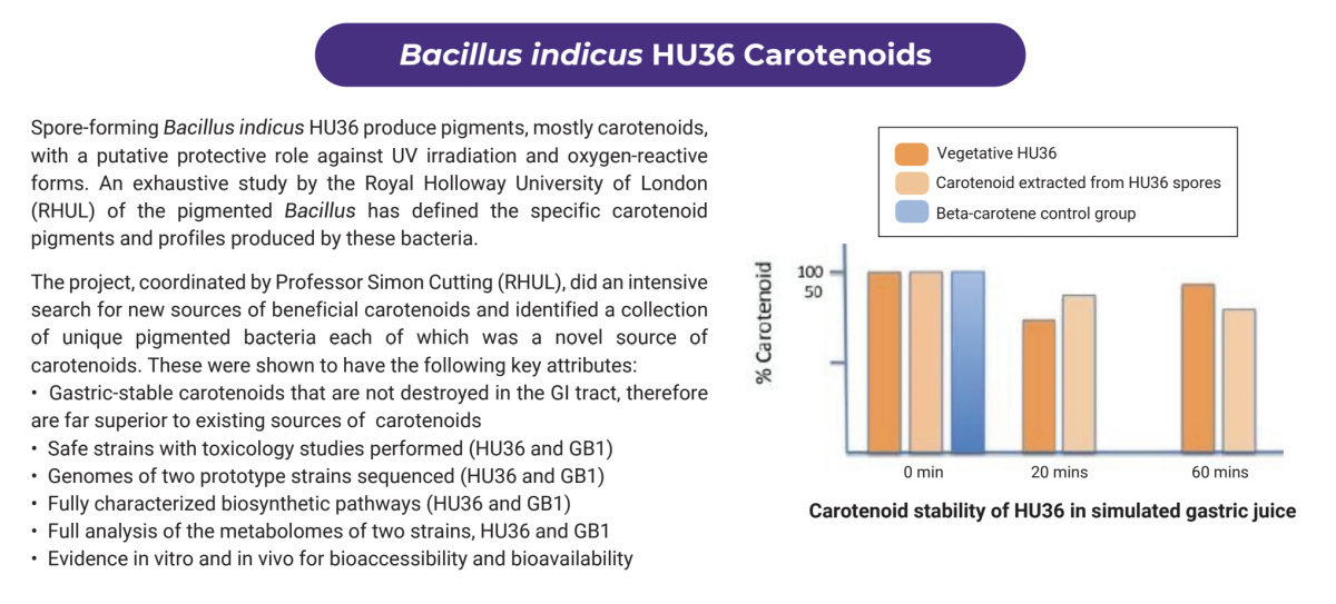 Bacillus indicus HU36 Carotenoids - Huro Biotech