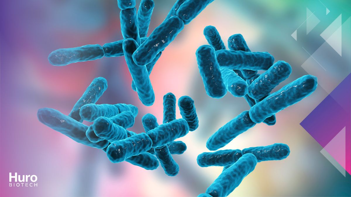 probiotic what does it mean